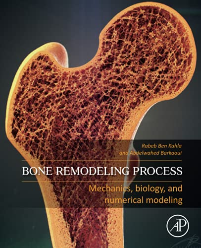 Bone Remodeling Process: Mechanics, Biology,