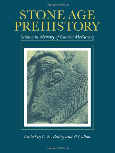 Stone Age Prehistory Studies in Memory of Charles McBurney [Paperback]