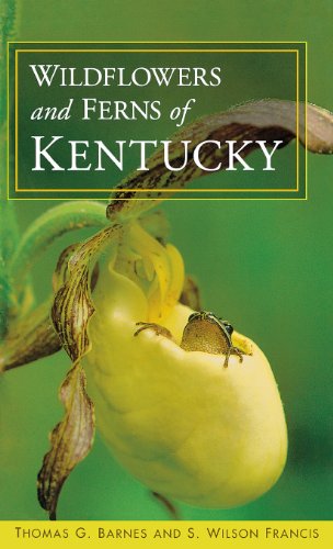 Wildflowers And Ferns Of Kentucky [Hardcover]