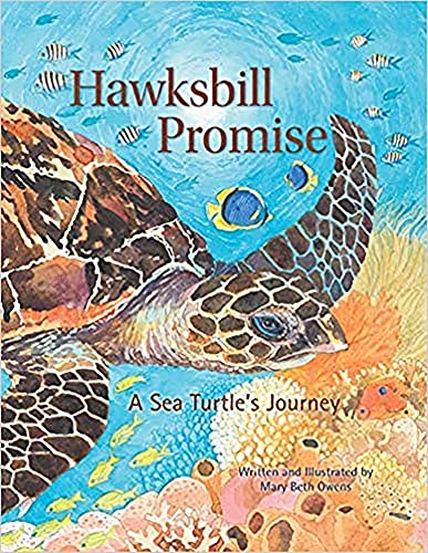 Hawksbill Promise The Journey of an Endangered Sea Turtle [Hardcover]