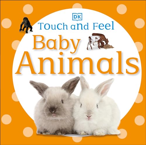 Touch and Feel Baby Animals [Board book]