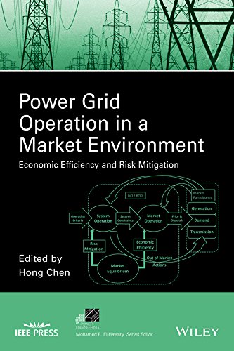 Power Grid Operation in a Market Environment Economic Efficiency and Risk Mitig [Hardcover]