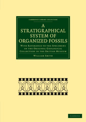 A Stratigraphical System of Organized Fossils With Reference to the Specimens o [Paperback]