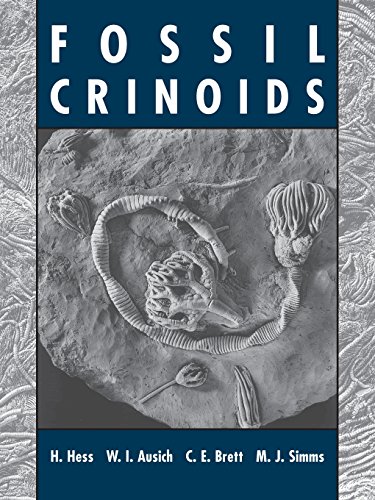 Fossil Crinoids [Paperback]