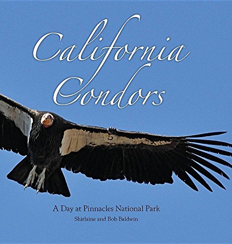 California Condors A Day at Pinnacles National Park [Hardcover]