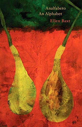 Analfabeto [Paperback]