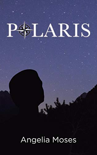 Polaris [Hardcover]