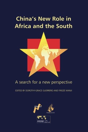 China's New Role in Africa and the South A Search for a New Perspective [Paperback]