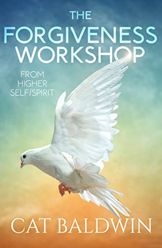 The Forgiveness Workshop From Higher Self/Spirit [Paperback]