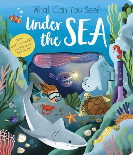 What Can You See Under the Sea [Board book]