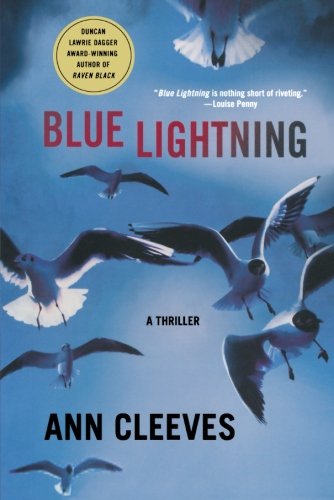 Blue Lightning A Thriller [Paperback]