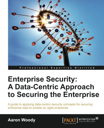Enterprise Security A Data-Centric Approach To Securing The Enterprise [Paperback]