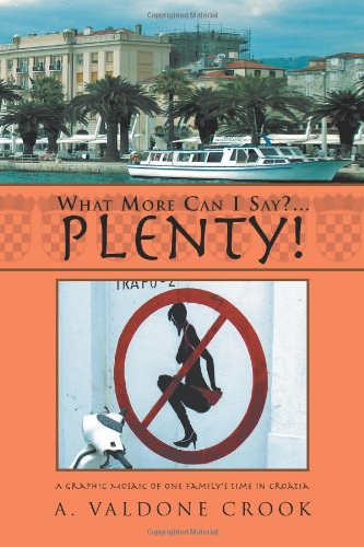 What More Can I Say Plenty  A graphic mosaic of one family's time in Croatia [Hardcover]