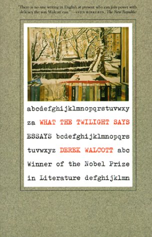 What the Twilight Says Essays [Paperback]