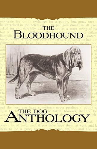 Bloodhound - a Dog Anthology [Unknown]