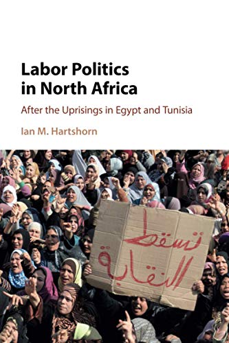 Labor Politics in North Africa After the Uprisings in Egypt and Tunisia [Paperback]
