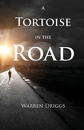 Tortoise in the Road [Paperback]