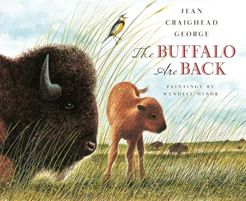 The Buffalo Are Back [Hardcover]