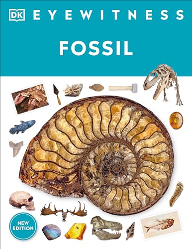 Eyewitness Fossil [Paperback]