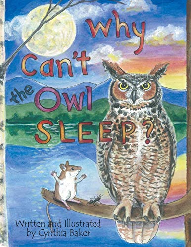 Why Can't The Owl Sleep [Paperback]
