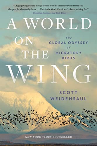 A World on the Wing The Global Odyssey of Migratory Birds [Paperback]