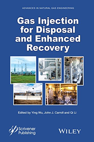 Gas Injection for Disposal and Enhanced Recovery [Hardcover]