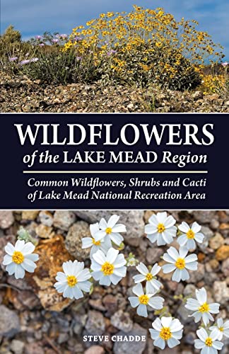 Wildflowers Of The Lake Mead Region