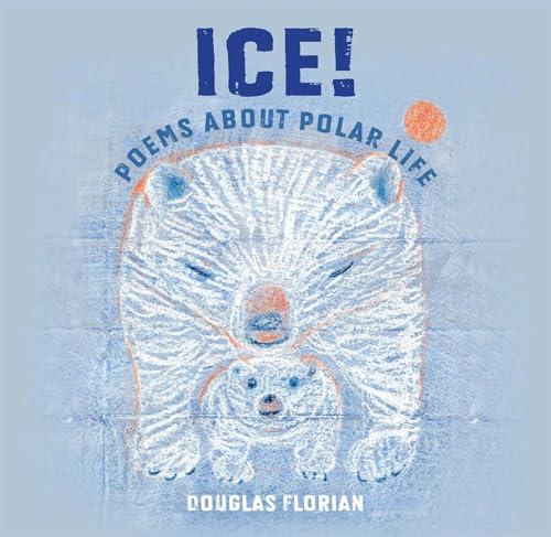 Ice Poems About Polar Life [Paperback]
