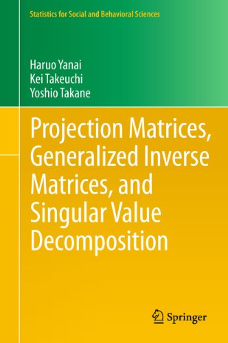Projection Matrices, Generalized Inverse Matrices, and Singular Value Decomposit [Hardcover]
