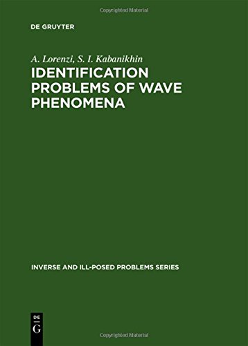 Identification Problems of Wave Phenomena  Theory and Numerics [Hardcover]