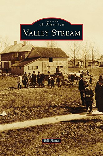Valley Stream [Hardcover]