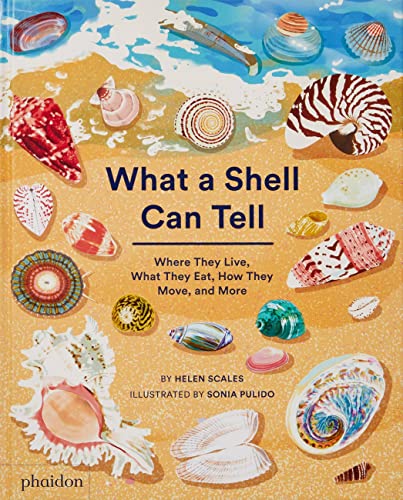 What A Shell Can Tell [Hardcover]
