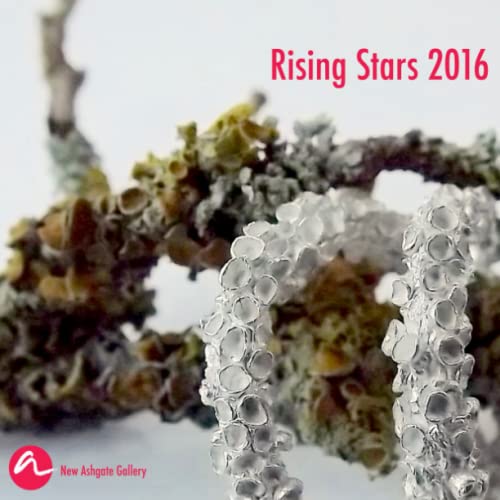 Rising Stars 2016 [Paperback]
