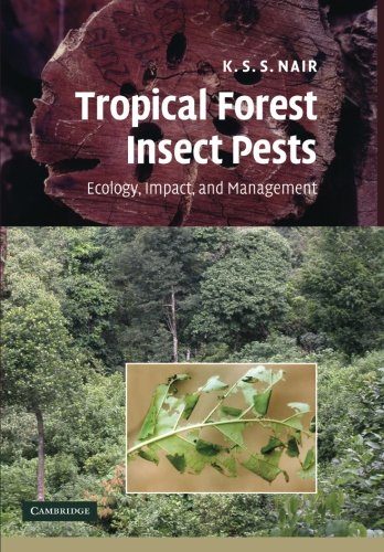 Tropical Forest Insect Pests Ecology, Impact, and Management [Paperback]