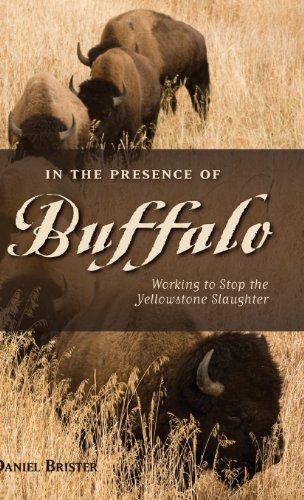 In the Presence of Buffalo Working to Stop the Yellowstone Slaughter [Hardcover]