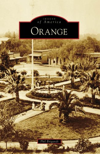 Orange [Paperback]