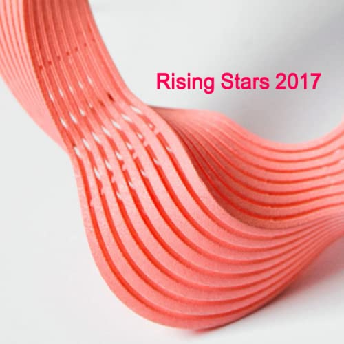 Rising Stars 2017 [Paperback]
