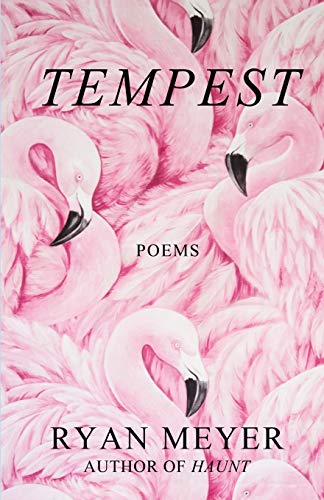 Tempest [Paperback]