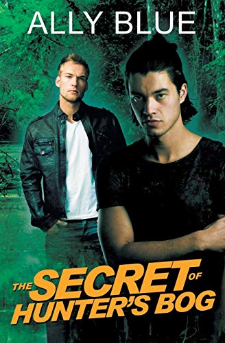 The Secret Of Hunter's Bog [Paperback]