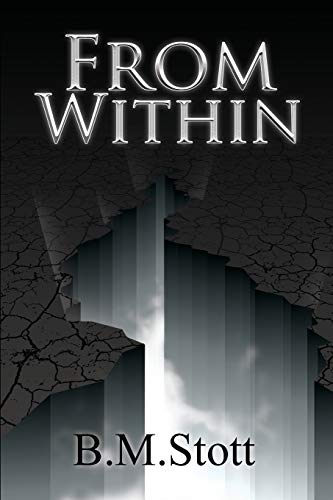 From Within [Paperback]