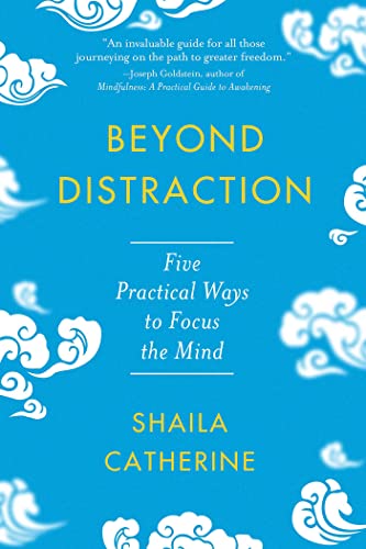 Beyond Distraction Five Practical Ways to Focus the Mind [Paperback]