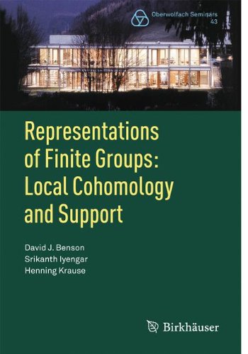 Representations of Finite Groups Local Cohomology and Support [Paperback]