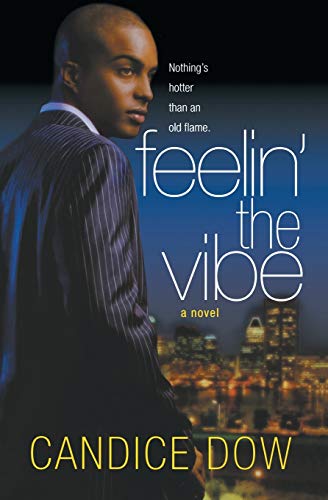Feelin' the Vibe [Paperback]
