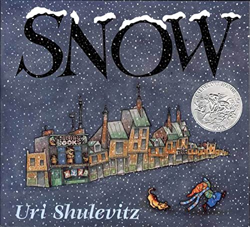 Snow [Paperback]
