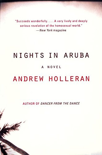 Nights In Aruba A Novel [Paperback]