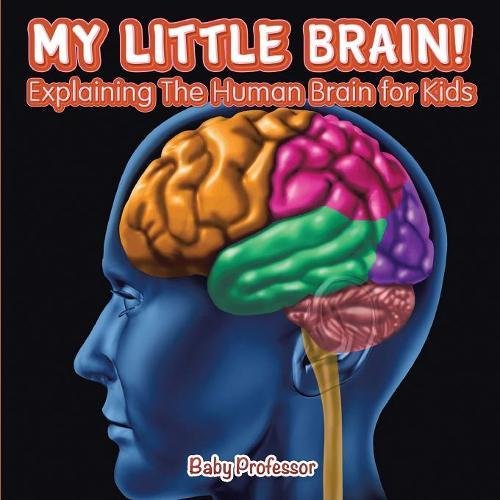 My Little Brain - Explaining the Human Brain for Kids [Paperback]