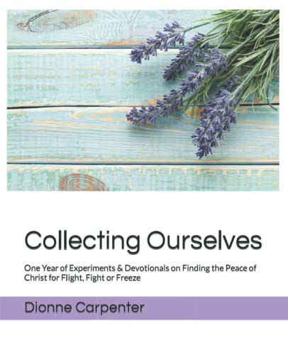 Collecting Ourselves  One Year of Experiments and Devotionals on Finding the Pe [Paperback]