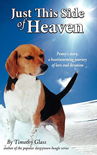 Just This Side Of Heaven [Paperback]