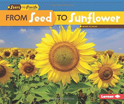From Seed To Sunflower (start To Finish, Second) [Paperback]