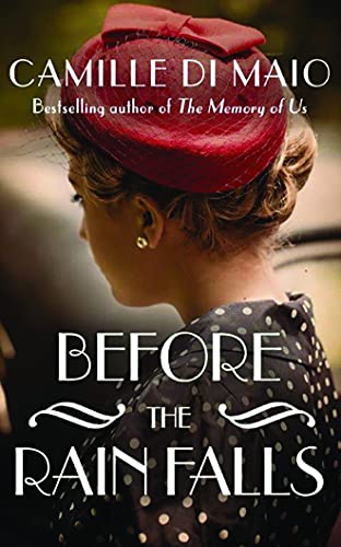 Before the Rain Falls A Novel [Paperback]